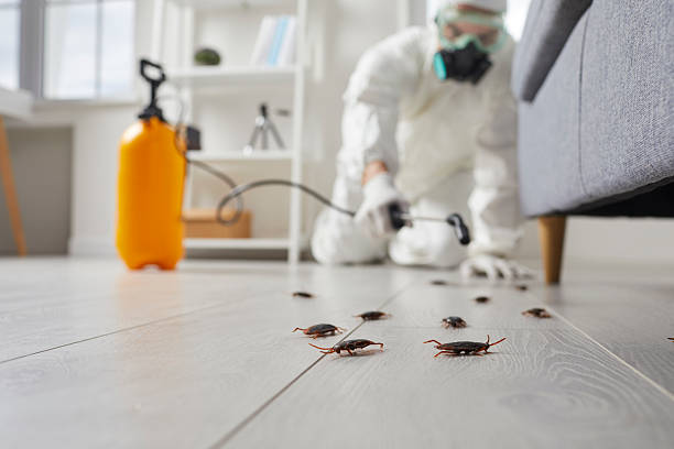 Post-Treatment Bed Bug Interceptor Monitoring in Ishpeming